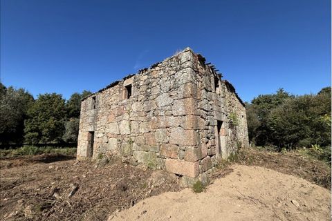 Farm i Melo e Nabais, Guarda, Melo e Nabais - € 150.000 | Ref: SF-SAFTI:008290 - foto 6