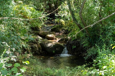 Farm i Melo e Nabais, Guarda, Melo e Nabais - € 150.000 | Ref: SF-SAFTI:008290 - foto 10