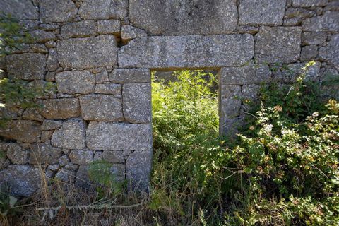 Farm i Melo e Nabais, Guarda, Melo e Nabais - € 150.000 | Ref: SF-SAFTI:008290 - foto 13