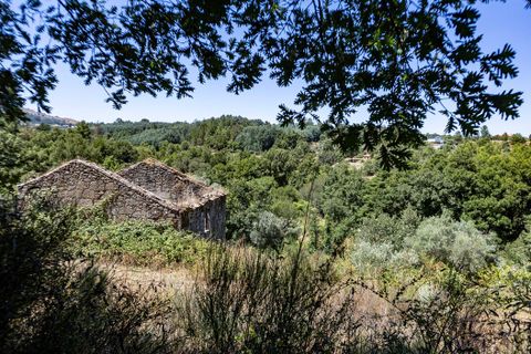 Farm i Melo e Nabais, Guarda, Melo e Nabais - € 150.000 | Ref: SF-SAFTI:008290 - foto 16