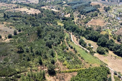 Farm i Melo e Nabais, Guarda, Melo e Nabais - € 150.000 | Ref: SF-SAFTI:008290 - foto 17