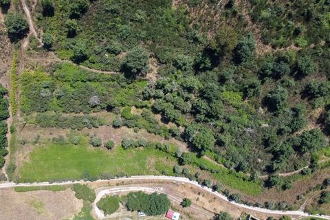 Farm i Melo e Nabais, Guarda, Melo e Nabais - € 150.000 | Ref: SF-SAFTI:008290 - foto 18