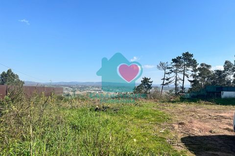 Helårsgrund i Agueda, Aveiro, Agueda - € 37.500 | Ref: CS/016/2026 - foto 6