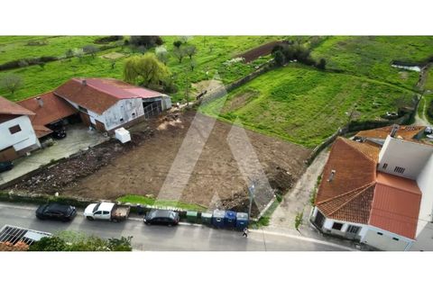Villa a Condeixa-a-Nova, Coimbra, Condeixa-a-Nova - € 460.000 | Ref: 1121220/26CB - foto 22