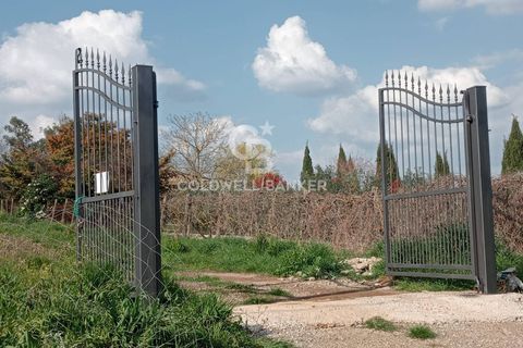 Villa a Sutri, Viterbo, Sutri - € 450.000 | Ref: CBI034-30-290 - foto 6