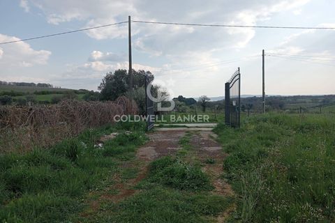Villa a Sutri, Viterbo, Sutri - € 450.000 | Ref: CBI034-30-290 - foto 16