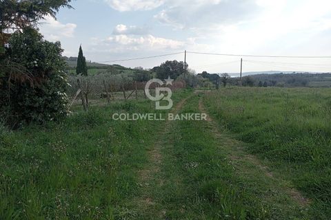 Villa a Sutri, Viterbo, Sutri - € 450.000 | Ref: CBI034-30-290 - foto 19