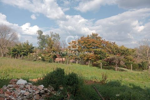 Villa a Sutri, Viterbo, Sutri - € 450.000 | Ref: CBI034-30-290 - foto 45