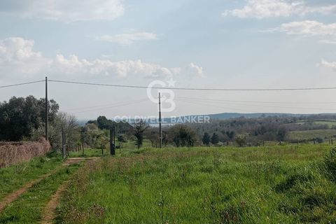 Villa a Sutri, Viterbo, Sutri - € 450.000 | Ref: CBI034-30-290 - foto 50