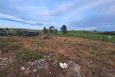 Villa i Serpa, Beja, Serpa - € 180.000 | Ref: 0332 - foto 22