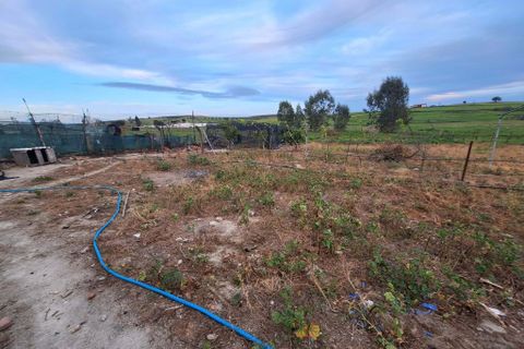 Villa i Serpa, Beja, Serpa - € 180.000 | Ref: 0332 - foto 24