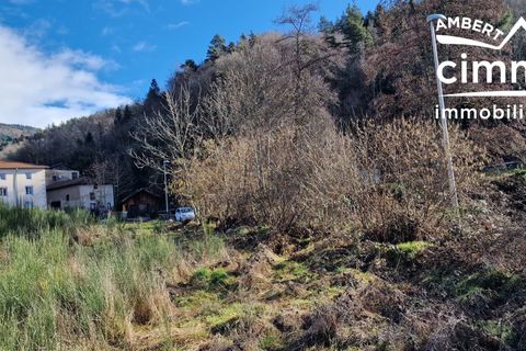 Terra a La Forie, Puy-de-Dome, La Forie - € 27.000 | Ref: 759-CIMMIMMO - foto 4
