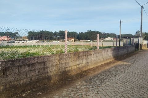 Terra a Barqueiros, Braga, Barqueiros - € 49.500 | Ref: HC0776 - foto 4