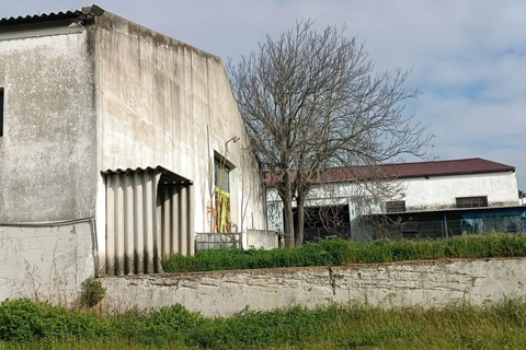 Erhvervsejendom i Elvas, Portalegre, Elvas - € 315.000 | Ref: C0185-03248 - foto 6