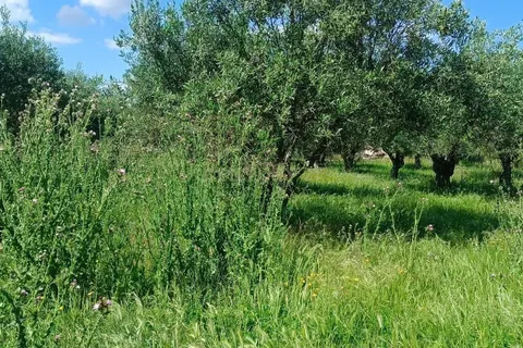 Masia a Lisbon, Lisbon, Lisbon - € 125.000 | Ref: C0185-03260 - foto 30