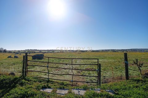 Helårsgrund i Elvas, Portalegre, Elvas - € 125.000 | Ref: C0185-03279 - foto 10