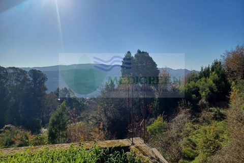 Villa i Sever do Vouga, Aveiro, Sever do Vouga - € 170.000 | Ref: CAS_1812 - foto 26