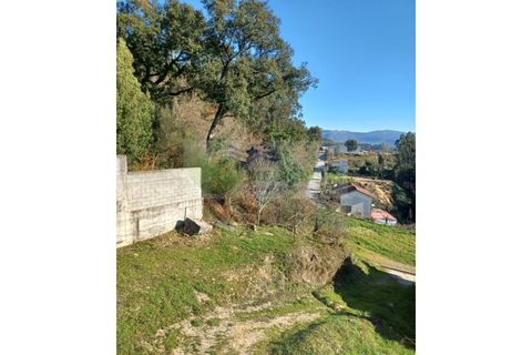 Villa i Sever do Vouga, Aveiro, Sever do Vouga - € 170.000 | Ref: CAS_1812 - foto 29