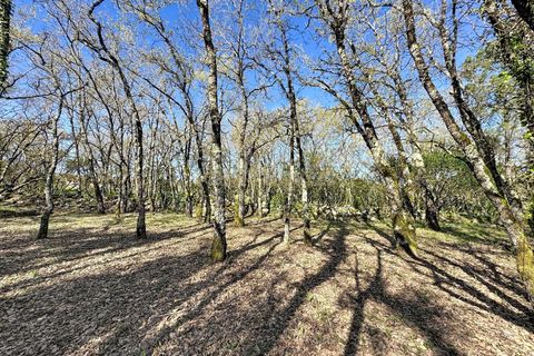 Helårsgrund i Alcobaca, Leiria, Alcobaca - € 130.000 | Ref: 1739-02287 - foto 3