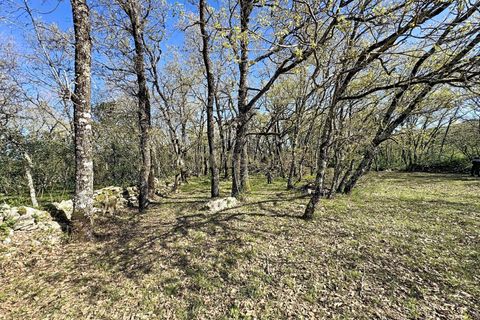 Helårsgrund i Alcobaca, Leiria, Alcobaca - € 130.000 | Ref: 1739-02287 - foto 4