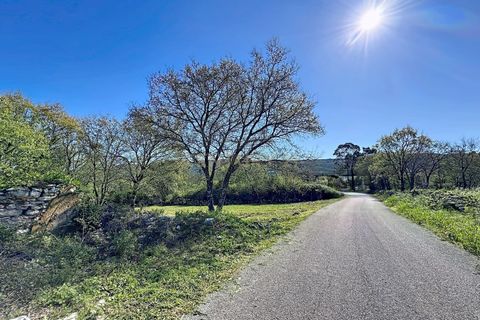Helårsgrund i Alcobaca, Leiria, Alcobaca - € 130.000 | Ref: 1739-02287 - foto 7