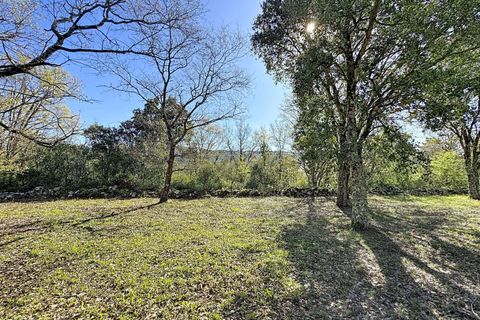 Helårsgrund i Alcobaca, Leiria, Alcobaca - € 130.000 | Ref: 1739-02287 - foto 10
