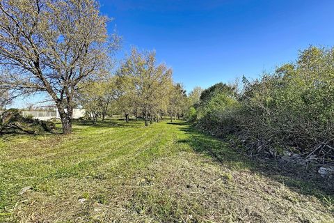 Helårsgrund i Alcobaca, Leiria, Alcobaca - € 130.000 | Ref: 1739-02287 - foto 14