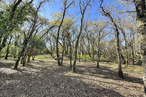 Helårsgrund i Alcobaca, Leiria, Alcobaca - € 130.000 | Ref: 1739-02287 - foto 15