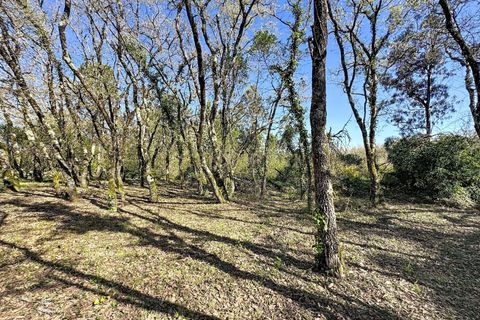 Helårsgrund i Alcobaca, Leiria, Alcobaca - € 130.000 | Ref: 1739-02287 - foto 16