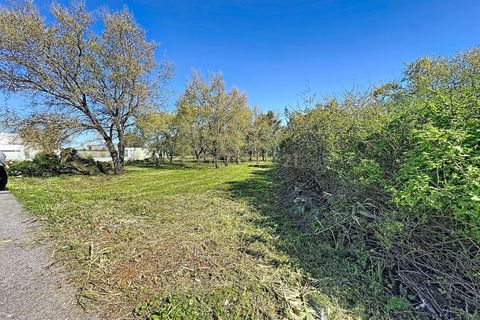 Helårsgrund i Alcobaca, Leiria, Alcobaca - € 130.000 | Ref: 1739-02287 - foto 17
