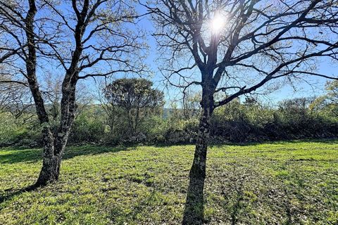 Helårsgrund i Alcobaca, Leiria, Alcobaca - € 130.000 | Ref: 1739-02287 - foto 18