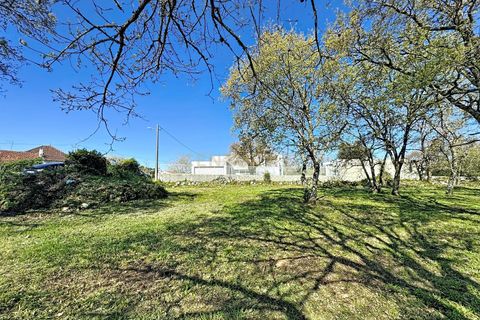 Helårsgrund i Alcobaca, Leiria, Alcobaca - € 130.000 | Ref: 1739-02287 - foto 19