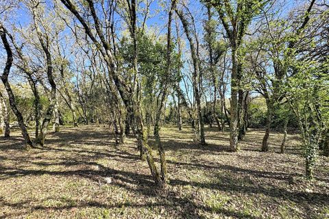 Helårsgrund i Alcobaca, Leiria, Alcobaca - € 130.000 | Ref: 1739-02287 - foto 22
