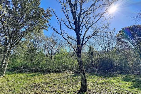 Helårsgrund i Alcobaca, Leiria, Alcobaca - € 130.000 | Ref: 1739-02287 - foto 25