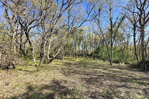 Helårsgrund i Alcobaca, Leiria, Alcobaca - € 130.000 | Ref: 1739-02287 - foto 26