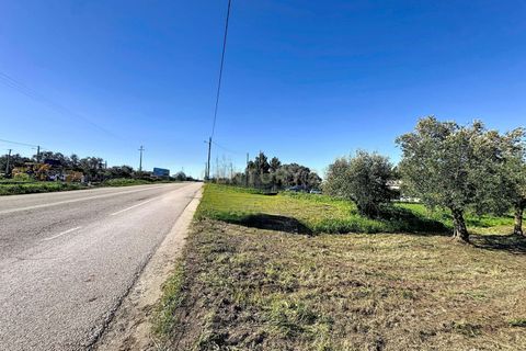 Helårsgrund i Alcobaca, Leiria, Alcobaca - € 80.000 | Ref: 1739-02289 - foto 2