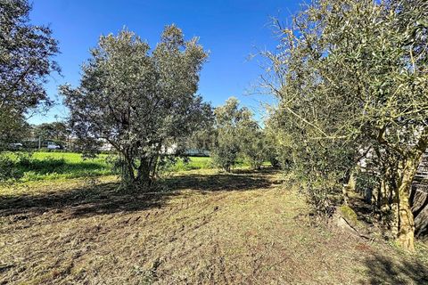 Helårsgrund i Alcobaca, Leiria, Alcobaca - € 80.000 | Ref: 1739-02289 - foto 3