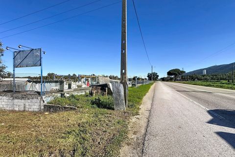 Helårsgrund i Alcobaca, Leiria, Alcobaca - € 80.000 | Ref: 1739-02289 - foto 4