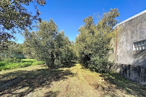Helårsgrund i Alcobaca, Leiria, Alcobaca - € 80.000 | Ref: 1739-02289 - foto 6