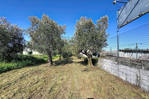Helårsgrund i Alcobaca, Leiria, Alcobaca - € 80.000 | Ref: 1739-02289 - foto 12