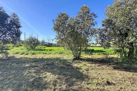 Helårsgrund i Alcobaca, Leiria, Alcobaca - € 80.000 | Ref: 1739-02289 - foto 15