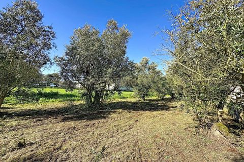 Helårsgrund i Alcobaca, Leiria, Alcobaca - € 80.000 | Ref: 1739-02289 - foto 17