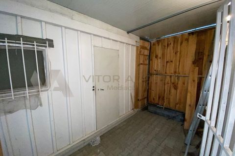 Terra a Chamusca, Santarem, Chamusca - € 47.500 | Ref: TR_94 - foto 15