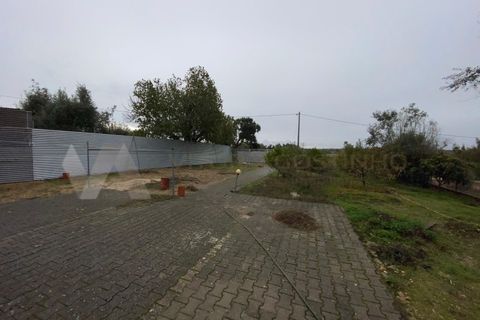Terra a Chamusca, Santarem, Chamusca - € 47.500 | Ref: TR_94 - foto 20