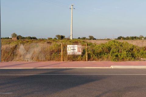 Helårsgrund i Almeirim, Santarem, Almeirim - € 450.000 | Ref: TR_80 - foto 3