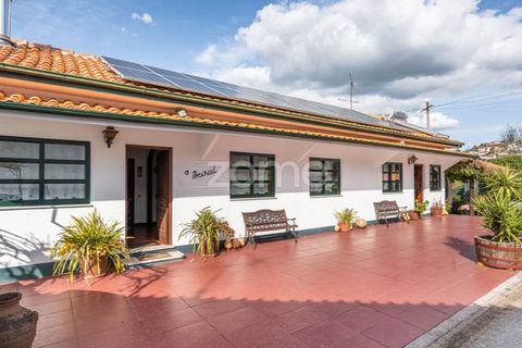 Farm i Lousada, Porto, Lousada - € 480.000 | Ref: ZMPT586991 - foto 2