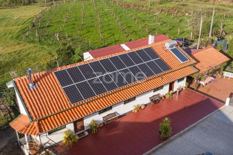 Farm i Lousada, Porto, Lousada - € 480.000 | Ref: ZMPT586991 - foto 7
