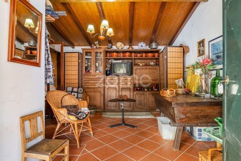 Farm i Lousada, Porto, Lousada - € 480.000 | Ref: ZMPT586991 - foto 9