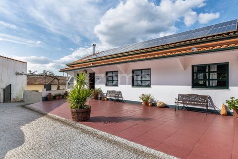 Farm i Lousada, Porto, Lousada - € 480.000 | Ref: ZMPT586991 - foto 13