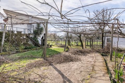 Farm i Lousada, Porto, Lousada - € 480.000 | Ref: ZMPT586991 - foto 35